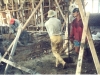 Gedung_Teknik_RJ_1