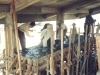 Gedung_Teknik_RJ_4
